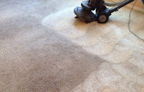 Image depicting the Service Carpet Cleaning